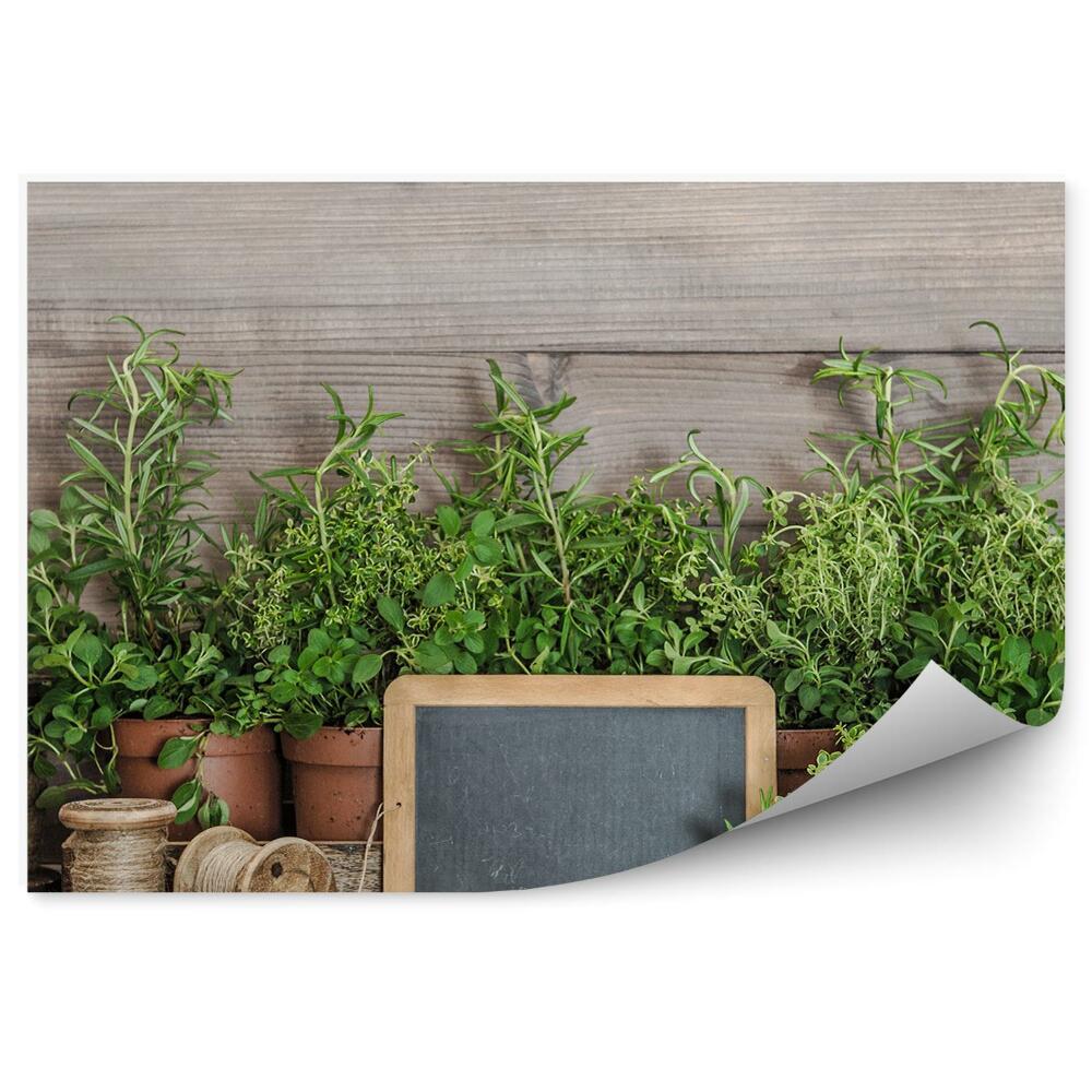 Okleina na ścianę Kuchenne zioła doniczkowe narzędzia sznur drewno