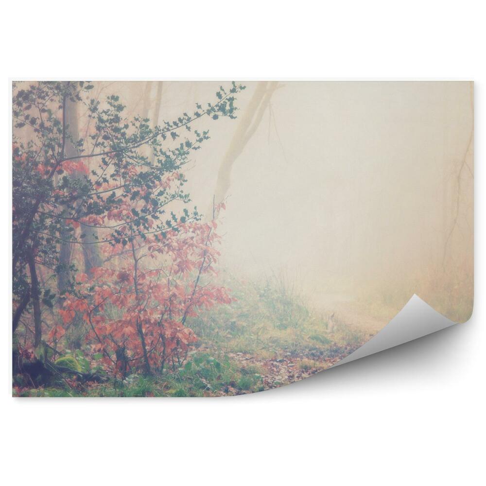 Okleina ścienna Angielski las drzewa liście trawa ścieżka drzewa
