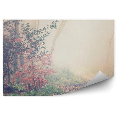 Okleina ścienna Angielski las drzewa liście trawa ścieżka drzewa