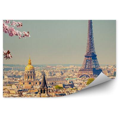 Fototapeta samoprzylepna Kwiaty kwitnące na drzewie panorama miasta paryż