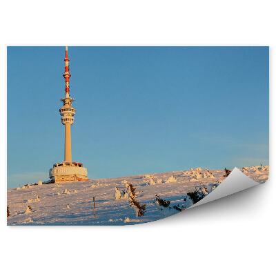 Okleina na ścianę Śnieg zima sudety błękitne niebo