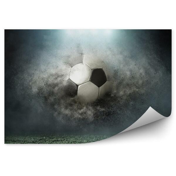 Fototapeta na ścianę Piłka nożna murawa kurz