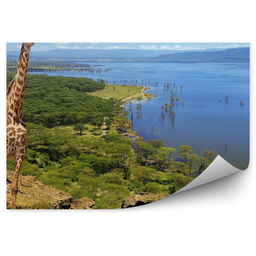 Okleina ścienna Park narodowy kenia żyrafa krajobraz natura