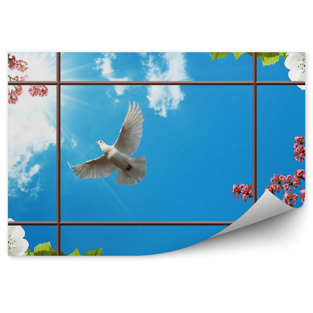 Fototapeta na ścianę Okno z widokiem na niebo korony drzew biały gołąbek