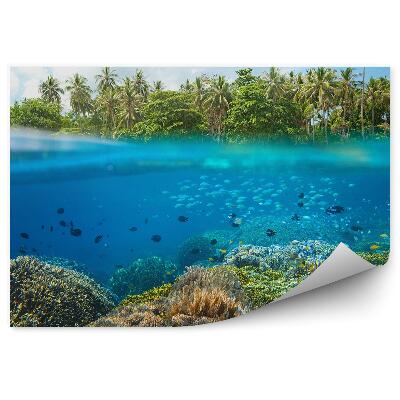 Okleina ścienna Rybki rafa koralowa tropiki palmy linia wody