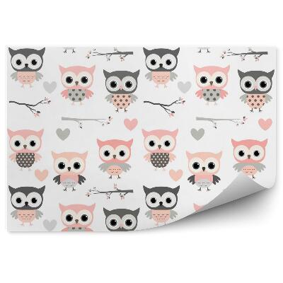 Fototapeta Kreskówkowe różowe sowy
