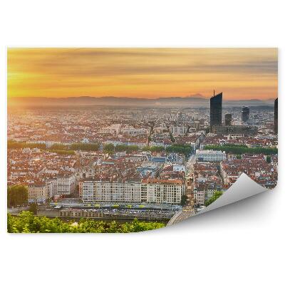 Fototapeta Widok z lotu ptaka na miasto wieżowce drzewa rośliny zachód słońca rzeka