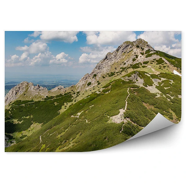 Okleina na ścianę Góra szyt tatry giewont roślinność