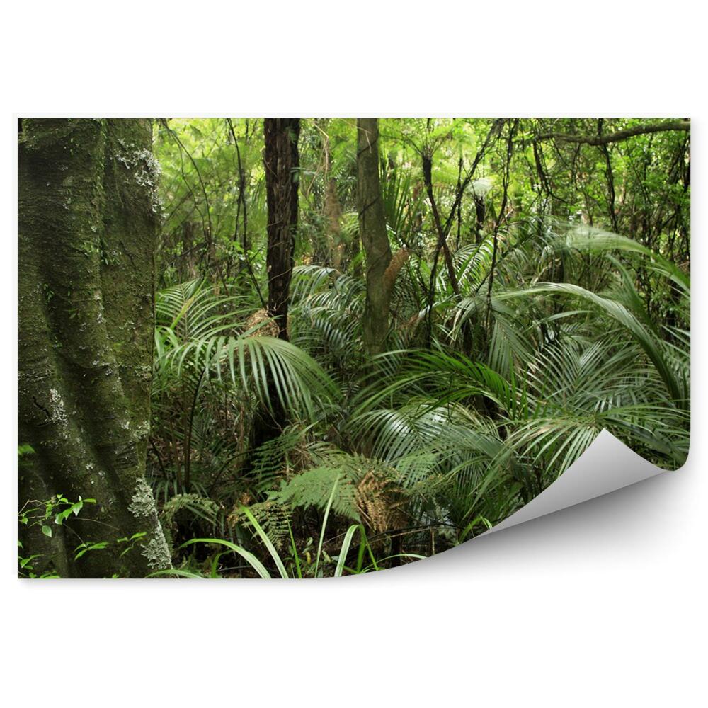 Fototapeta na ścianę Las drzewa liście krzewy zielony krajobraz