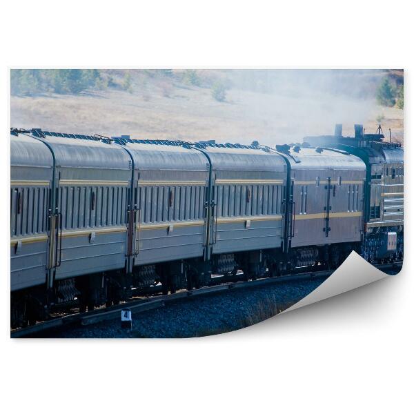 Fotopeta Pociąg towarowy kolej tory natura