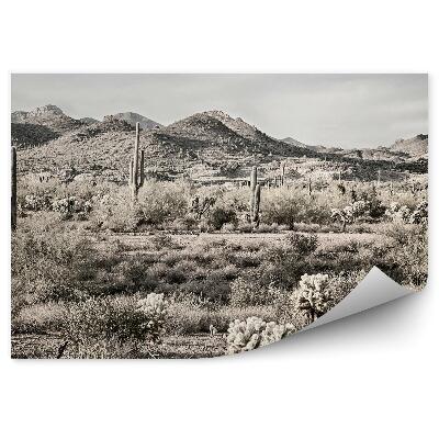 Okleina ścienna Sepia kaktusy rośliny drzewa niebo chmury pustynia