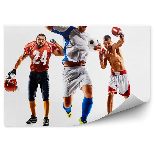 Fototapeta na ścianę Kolaż sportu piłka nożna futbol amerykański boks