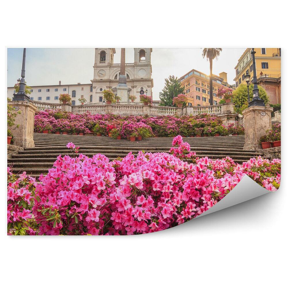Fototapeta na ścianę kościół Trinità dei Monti budynki schody kwiaty rośliny