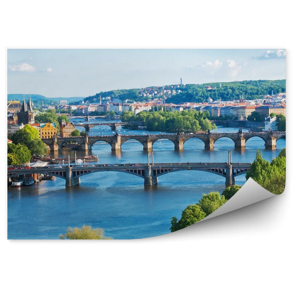 Fototapeta samoprzylepna Republika czeska architektura rośliny