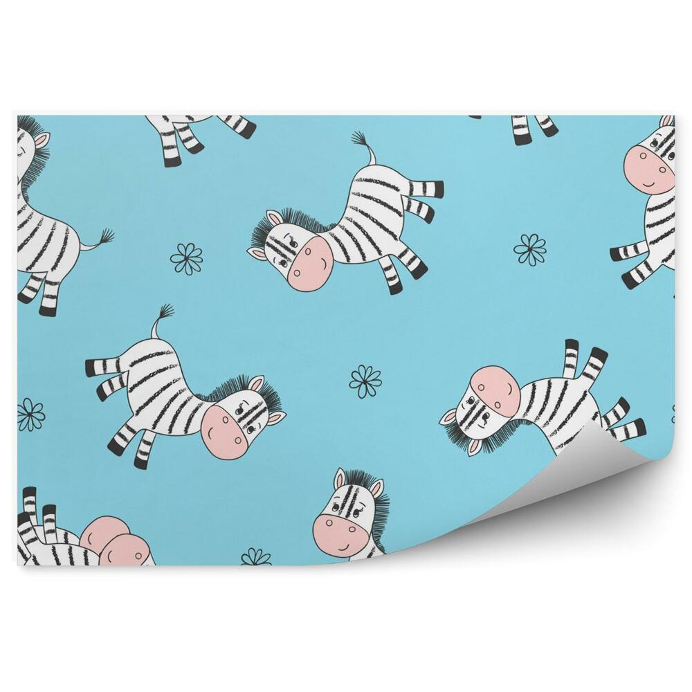 Fototapeta Zebry na niebieskim tle