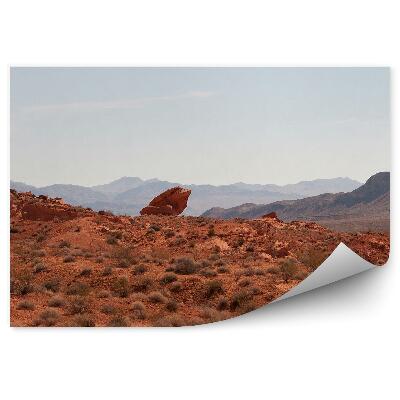 Okleina ścienna Rośliny góry skały pustynia nambung niebo