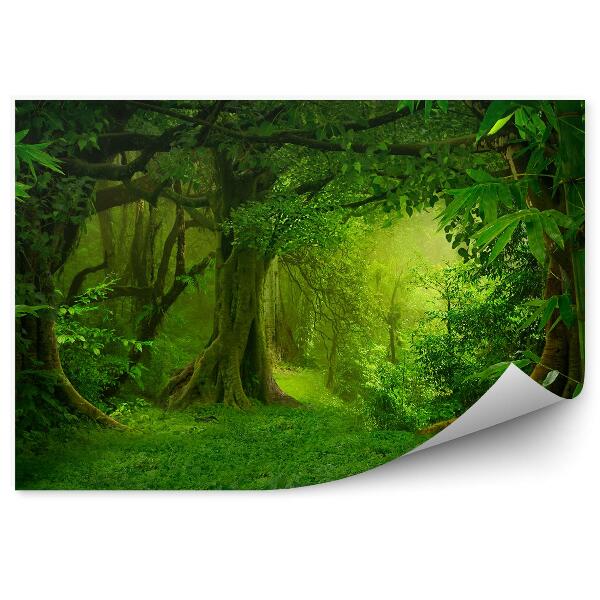 Fototapeta na ścianę Tropikalna dżungla zieleń przyroda