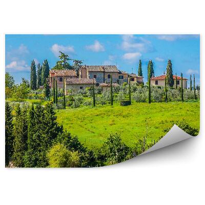 Fototapeta budynek drzewa winnica niebo chmury Toskania Włochy