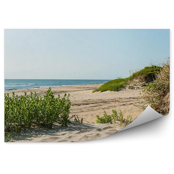 Fototapeta Plaża wydmy niebo ocean rośliny karolina północna