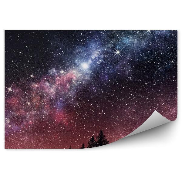 Fototapeta Drzewa iglaste niebo gwieździste niebo droga mleczna