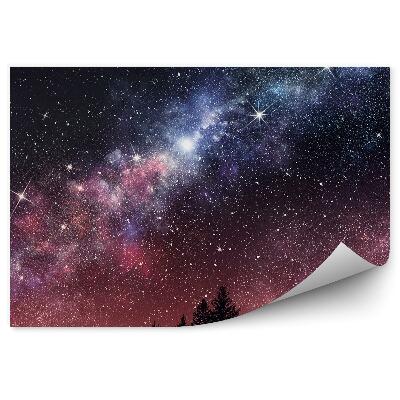 Fototapeta Drzewa iglaste niebo gwieździste niebo droga mleczna