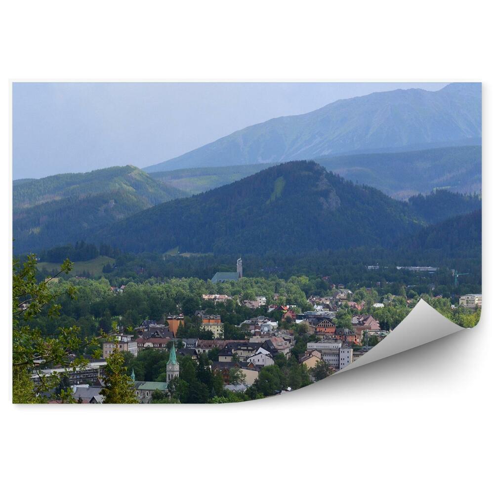 Okleina na ścianę widok Zakopane domy góry drzewa rośliny niebo chmury
