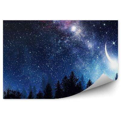 Fototapeta Drzewa iglaste niebo gwieździste niebo droga mleczna księżyc