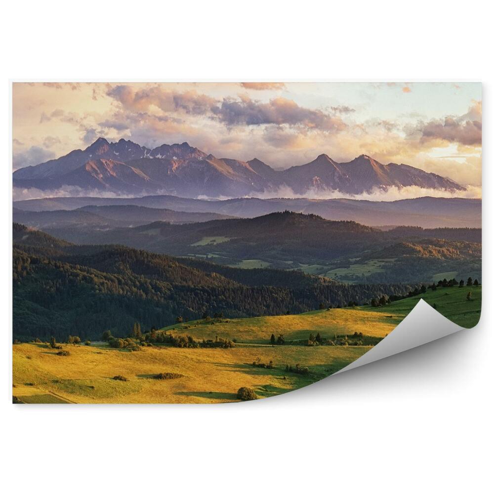 Fototapeta Góry zieleń pola drzewa mgła niebo chmury słowacja