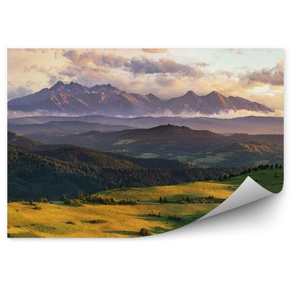 Fototapeta Góry zieleń pola drzewa mgła niebo chmury słowacja