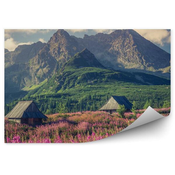Fototapeta Tatry góry chatki drzewa kwiaty rośliny niebo chmury