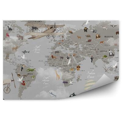 Fototapeta samoprzylepna Stara mapa świata rysunkowa szara dla dzieci