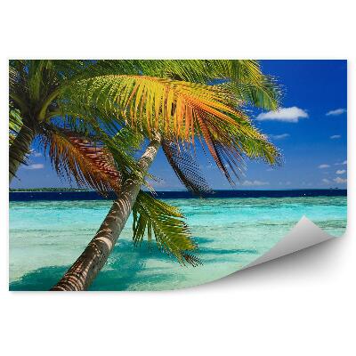 Fototapeta Palmy fale woda wyspy egzotyka