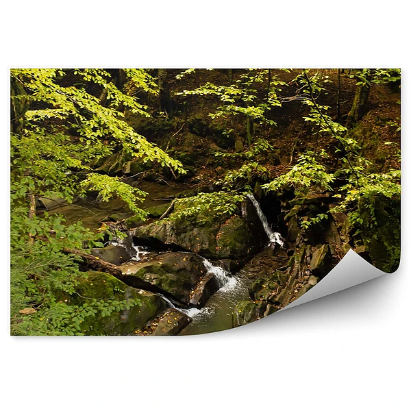 Okleina na ścianę Las potok bieszczady góry