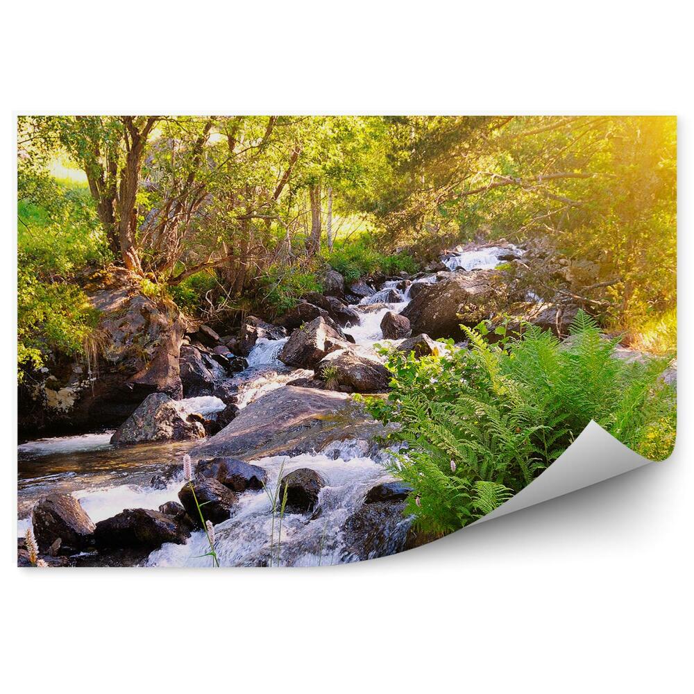 Okleina ścienna Góry rzeka potok kamienie przyroda zieleń