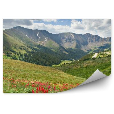 Okleina ścienna Alpy łąką kwiaty zieleń roślinność