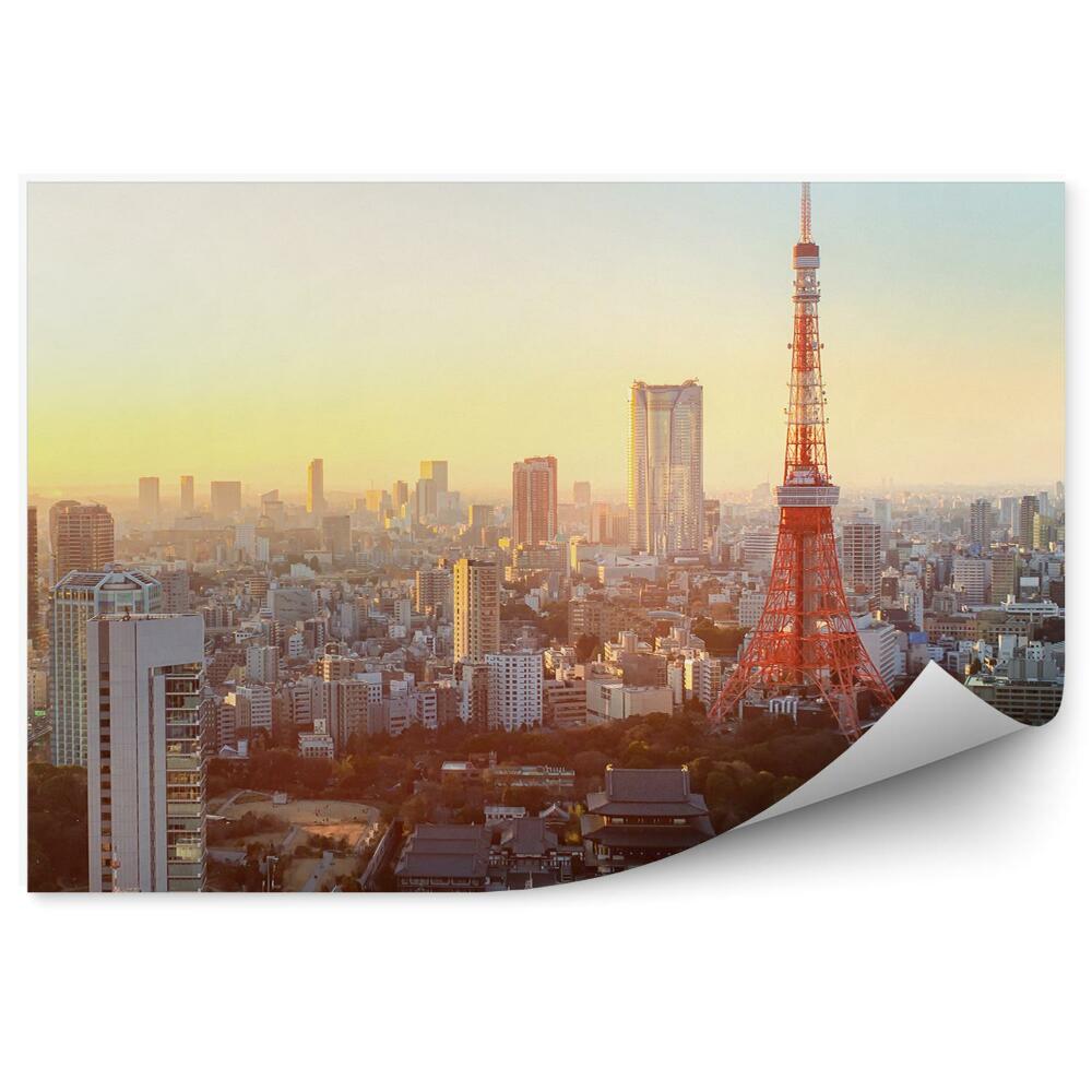 Okleina na ścianę widok z lotu ptaka Tokio Japonia