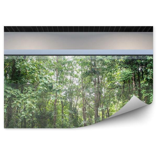 Fototapeta Pokój krzesło las tropikalny okno