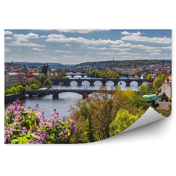 Okleina ścienna Panorama miasta z lotu ptaka kwiaty krzewy