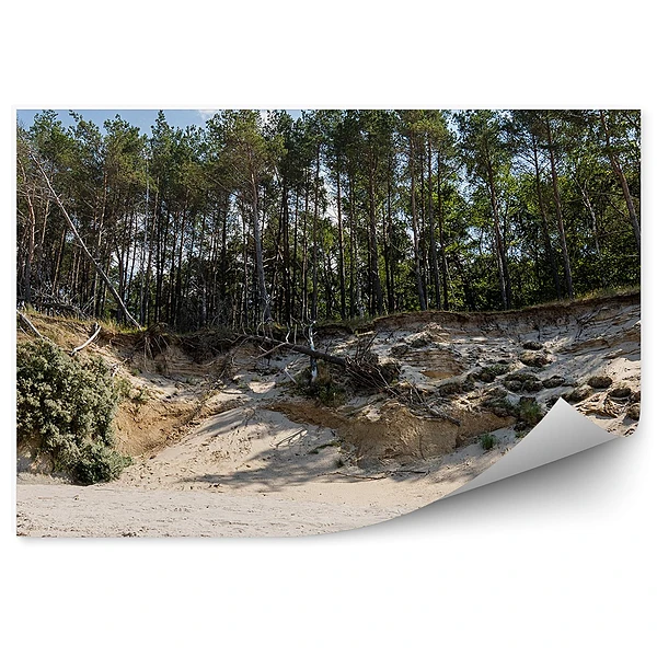 Okleina na ścianę Skarpa drzewa las plaża piasek