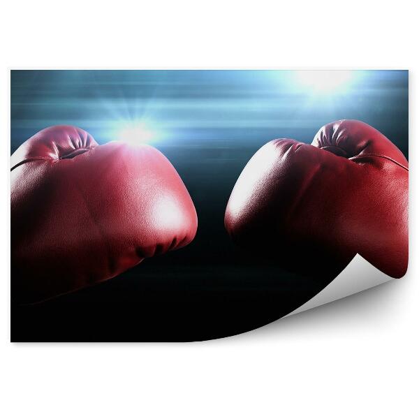 Fototapeta samoprzylepna Rękawice bokserskie światła