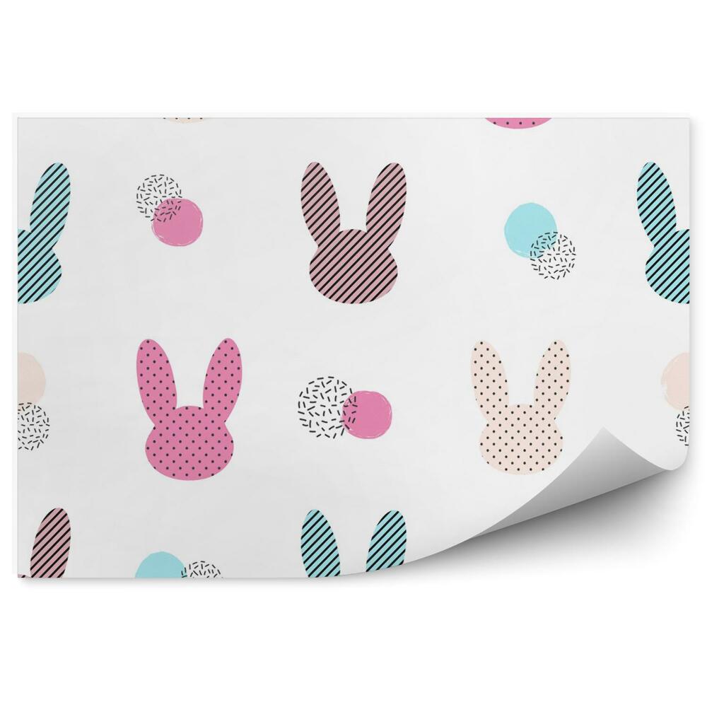 Fototapeta Kolorowe króliczki