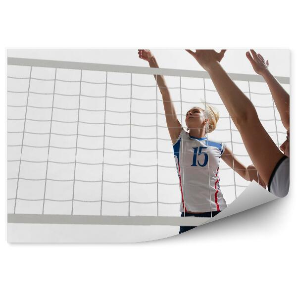 Fototapeta samoprzylepna Siatkarki piłka siatka