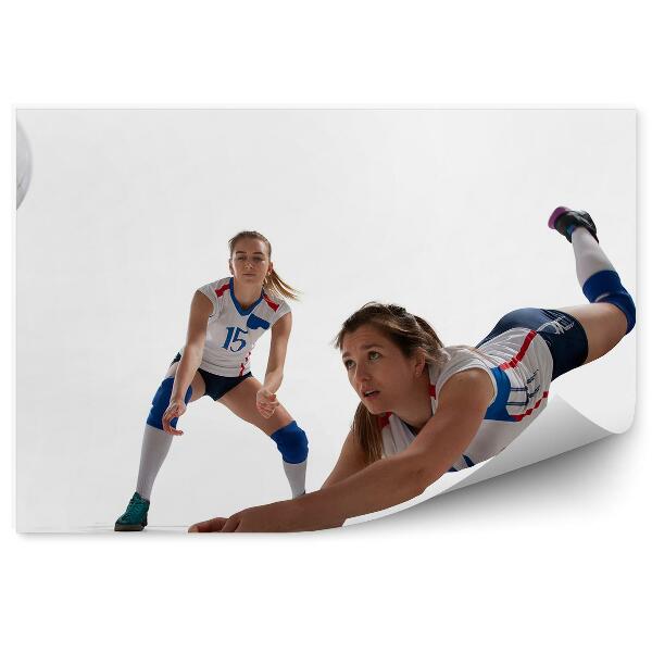 Fototapeta samoprzylepna Siatkarki piłka