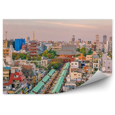 Okleina na ścianę widok z lotu ptaka Tokio Japonia