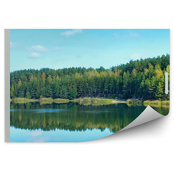 Fototapeta Las drzewa zieleń lato jezioro otwarte okno