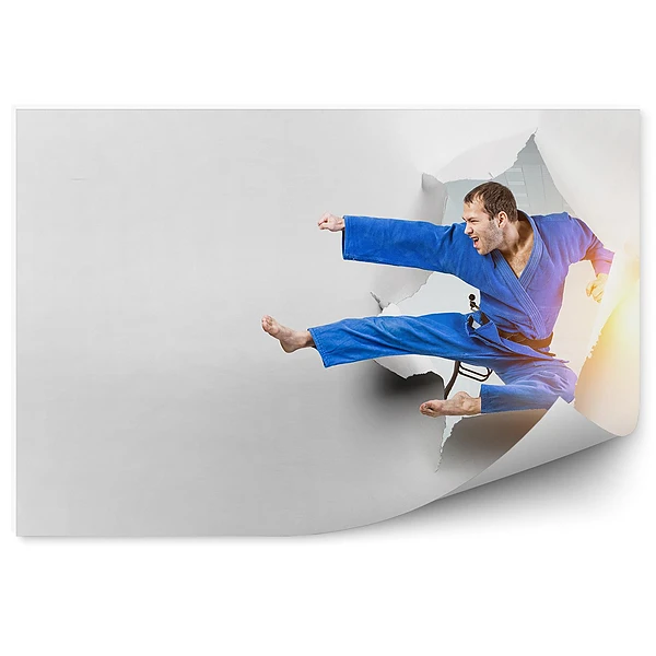 Fototapeta samoprzylepna Karate cios papier
