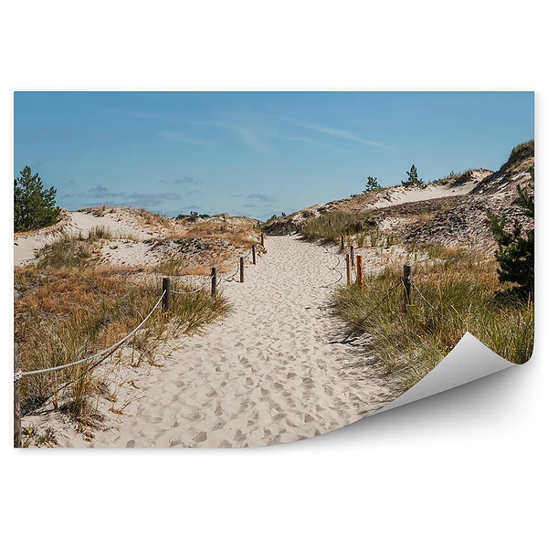 Okleina na ścianę Plaża ścieżka trawa rośliny piasek
