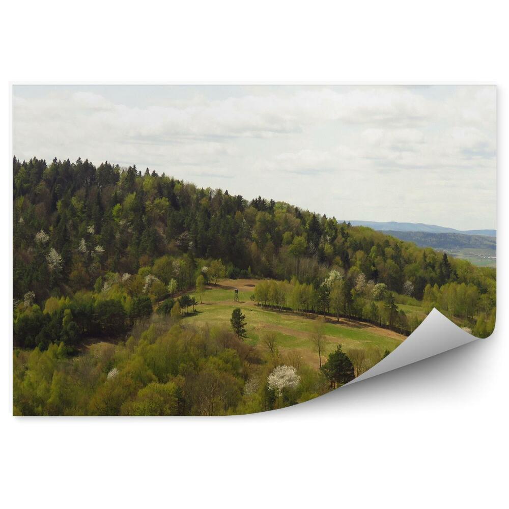 Okleina na ścianę Las drzewa wzgórze pole krajobraz bieszczady