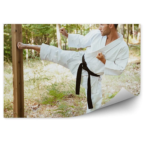 Fototapeta samoprzylepna Karate trening drzewo las ziemia