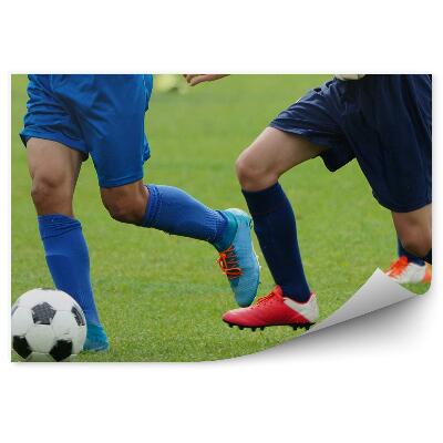 Fototapeta na ścianę Piłkarze murawa piłka nożna